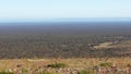 Driving the Nullabor on a highway in the Australian Outback