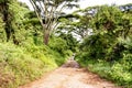 Driving Off-Road on Remote Dirt Road Royalty Free Stock Photo