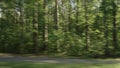 Driving plate side view of green mixed forest on summer sunny day from car Royalty Free Stock Photo