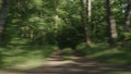 Driving plate side view of green mixed forest on summer sunny day from car Royalty Free Stock Photo