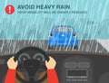 Driving on a rainy and slippery road. Avoid heavy rain, your visibility will be greatly reduced. Hands driving steering wheel.