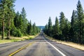 Driving through Shasta National Forest, Siskiyou County, Northern California