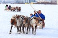 Driving on snow on cervine teams