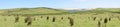 View on vast grasslands, tussocks, lakes and sanddunes near Cape Reinga