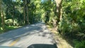 Driving through a tree tunnel forest near Ormond Beach, Florida Royalty Free Stock Photo