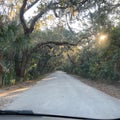 Driving through a tree tunnel in northeast Florida Royalty Free Stock Photo