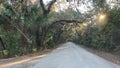 Driving through a tree tunnel in northeast Florida Royalty Free Stock Photo