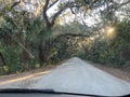 Driving through a tree tunnel in northeast Florida Royalty Free Stock Photo