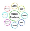 Drivers of Process Excellence