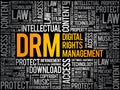 DRM - Digital Rights Management word cloud Royalty Free Stock Photo