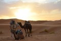 Dromedaries Resting in the sunrise of Sahara Great Desert in High Atlas Mountains, Morocco