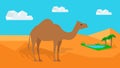 Dromedary Camel in Desert Vector in Flat Design