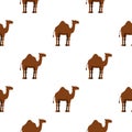 Dromedary camel pattern seamless