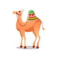 Dromedary camel with a saddle. Raster illustration in flat cartoon style on white background. Royalty Free Stock Photo