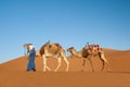 Dromedary caravan with nomad in the Sahara Desert Morocco