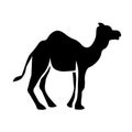 Dromedary Icon Vector Royalty Free Stock Photo