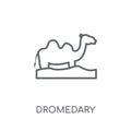 Dromedary linear icon. Modern outline Dromedary logo concept on Royalty Free Stock Photo