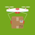 Dron delivers the parcel. The concept of fast, free delivery, gi
