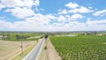 Drone aerial views of rows of grapevines and scenic landscape