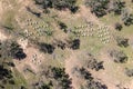 Drone aerial photograph of a large Bee Hive farm in a green field