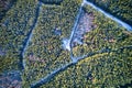 Drone aerial shot of green pine forests and spring birch groves with beautiful texture of golden treetops. Sunrise in Royalty Free Stock Photo