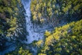 Drone aerial shot of green pine forests and spring birch groves with beautiful texture of golden treetops. Sunrise in Royalty Free Stock Photo