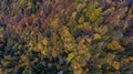 Drone aerial view of an Alpine aerial misty forest