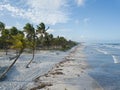 Drone aerial view deserted beach with coconut trees. IlhÃÂ©us Bahia Brazil Royalty Free Stock Photo