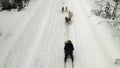 Drone Aerial view of dogsledding handler with team of trained husky dogs mountain pass, husky dog sled riding in winter