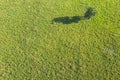 Drone aerial view of green field and tree Royalty Free Stock Photo