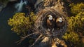 Drone Aerial View Shot of a Pair of Bald Eagles Guarding Their Nest. Birdwatching. AI Generated Royalty Free Stock Photo