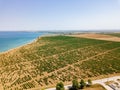 Drone aerial view of vineyard Royalty Free Stock Photo