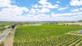 Drone aerial views of rows of grapevines and scenic landscape