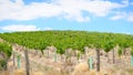 Drone aerial views of rows of grapevines and scenic landscape