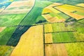 Drone airview agriculture fields bird view