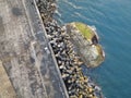 Drone Ariel view of The Chaojing Park coastline, located on the north coast of Keelung,