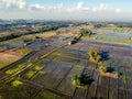 Drone or bird eyeview of bali Rice Field