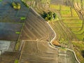 Drone or bird eyeview of bali Rice Field