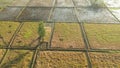 Drone or bird eyeview of bali Rice Field