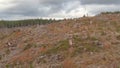 DRONE: Bleak aerial shot of a large clearance in the middle of a lush forest. Royalty Free Stock Photo