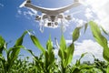 Drone with digital camera flying over cultivated field