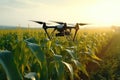 Drone Explores Smart Farming Technology In Corn Field