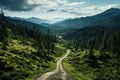 Drone eye view of a winding forest road through the serene green landscape Royalty Free Stock Photo