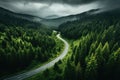 Drone eye view of a winding forest road through the serene green landscape Royalty Free Stock Photo