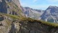 DRONE: Female hiker and puppy walk along the edge of a cliff in the Italian Alps Royalty Free Stock Photo