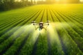 Drone fertilizing field