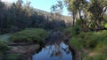 Aerial view of following river through pine forest Balingup Western Australia