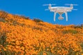 Drone Flying Above California Poppies Landscape During the 2019 Super Bloom