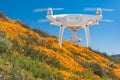 Drone Flying Above California Poppies Landscape During the 2019 Super Bloom