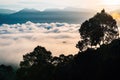 Drone flying above the Sea clouds during golden sunrise near the rainforest trees in Lenggong, Perak Royalty Free Stock Photo